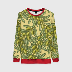 Свитшот женский Винтажные ветви оливок, цвет: 3D-красный