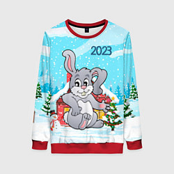 Женский свитшот Кролик 2023 новый год