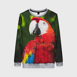 Свитшот женский Красный попугай Ара, цвет: 3D-меланж