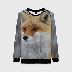 Свитшот женский Лис зимой, цвет: 3D-черный