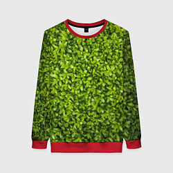 Свитшот женский Зеленая травка, цвет: 3D-красный