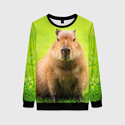 Свитшот женский Capybara on green grass, цвет: 3D-черный