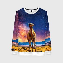Свитшот женский Верблюд и звездное небо, цвет: 3D-белый