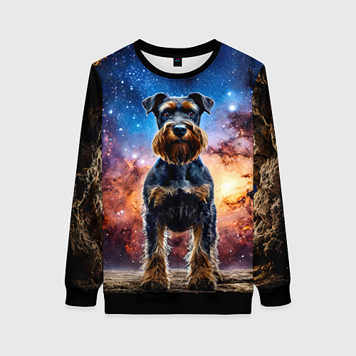 Женский свитшот Ризеншнауцер в космосе / 3D-Черный – фото 1