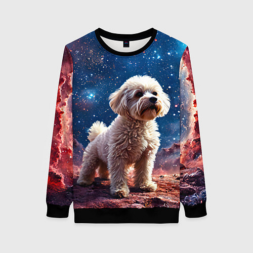 Женский свитшот Бишон в космосе / 3D-Черный – фото 1
