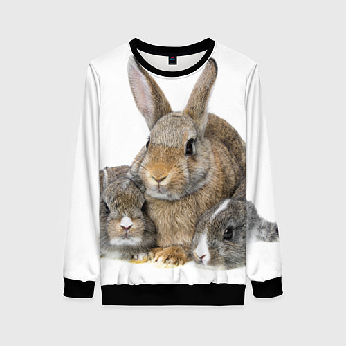 Женский свитшот Кролики - семейство / 3D-Черный – фото 1