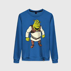 Свитшот хлопковый женский Shrek 3, цвет: синий