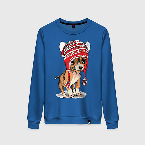 Женский свитшот Чихуахуа в шапочке / Синий – фото 1