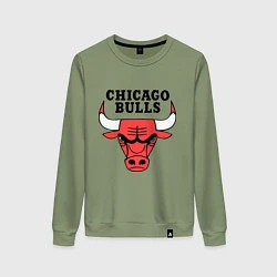 Свитшот хлопковый женский Chicago Bulls, цвет: авокадо