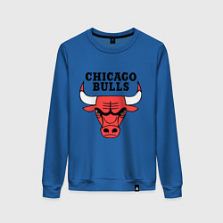 Свитшот хлопковый женский Chicago Bulls, цвет: синий