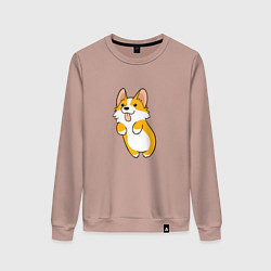 Свитшот хлопковый женский Корги лапочка, цвет: пыльно-розовый