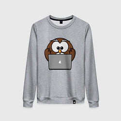 Женский свитшот Сова с ноутбуком