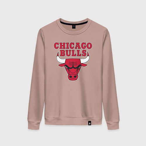 Женский свитшот CHICAGO BULLS / Пыльно-розовый – фото 1