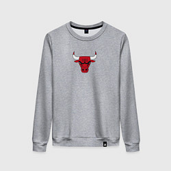 Свитшот хлопковый женский CHICAGO BULLS, цвет: меланж