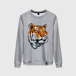 Свитшот хлопковый женский Тигр, цвет: меланж