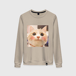 Свитшот хлопковый женский Мем про котов, цвет: миндальный