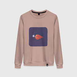 Свитшот хлопковый женский Удильщик, цвет: пыльно-розовый