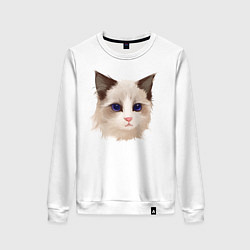 Свитшот хлопковый женский Хмурый кот, цвет: белый