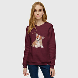 Свитшот хлопковый женский Fluffy Corgi, цвет: меланж-бордовый — фото 2