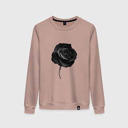 Свитшот хлопковый женский Чёрная роза Black rose, цвет: пыльно-розовый