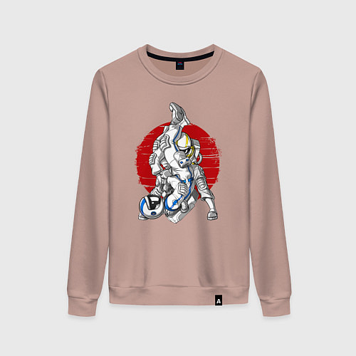 Женский свитшот Боевые искусства космонавтов / Пыльно-розовый – фото 1