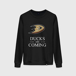 Свитшот хлопковый женский Ducks Are Coming, Анахайм Дакс, Anaheim Ducks, цвет: черный