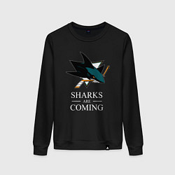 Женский свитшот Sharks are coming, Сан-Хосе Шаркс San Jose Sharks