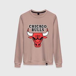 Свитшот хлопковый женский Chicago Bulls, цвет: пыльно-розовый