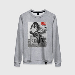 Свитшот хлопковый женский LIFE NEWS:monkeys, цвет: меланж