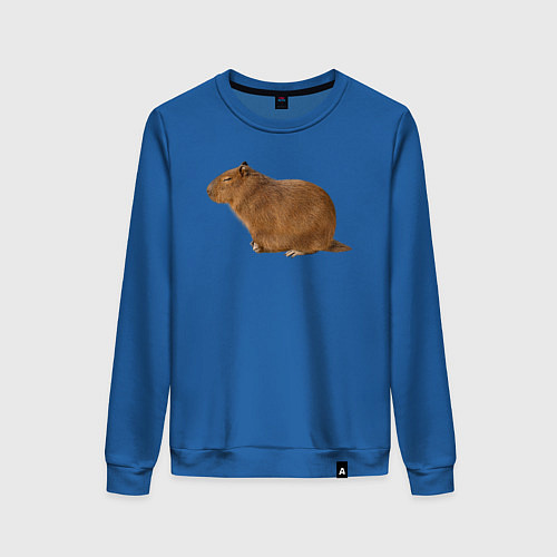 Женский свитшот Капибара сидит и спит / Синий – фото 1