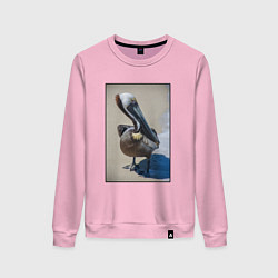 Свитшот хлопковый женский Пеликан у моря, цвет: светло-розовый