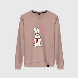 Женский свитшот Кролик с сердечками