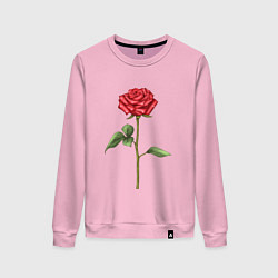 Свитшот хлопковый женский Роза красная, цвет: светло-розовый