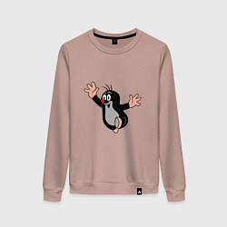 Женский свитшот Чешский крот из мультика