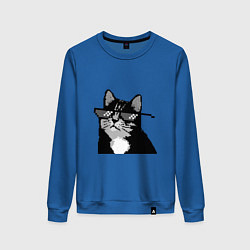Женский свитшот Pixel coot cat in glasses
