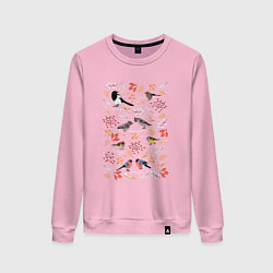 Свитшот хлопковый женский Зимующие птицы, цвет: светло-розовый