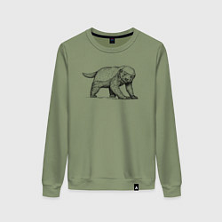 Свитшот хлопковый женский Медоед недоволен, цвет: авокадо