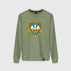 Свитшот хлопковый женский Арка Гдыня фк, цвет: авокадо