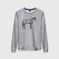 Свитшот хлопковый женский Лошадь стоит в профиль, цвет: меланж