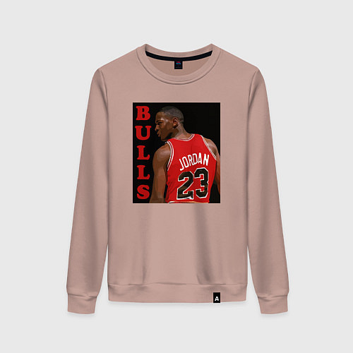 Женский свитшот Bulls Jordan / Пыльно-розовый – фото 1