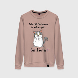 Свитшот хлопковый женский Разве человек не мой питомец, цвет: пыльно-розовый