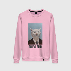 Свитшот хлопковый женский Приемлемо - кот мем в живописи, цвет: светло-розовый