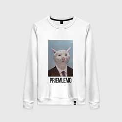 Свитшот хлопковый женский Приемлемо - кот мем в живописи, цвет: белый