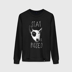 Свитшот хлопковый женский Stay dog pissed, цвет: черный