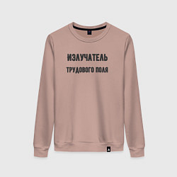 Свитшот хлопковый женский Излучатель трудового поля, цвет: пыльно-розовый
