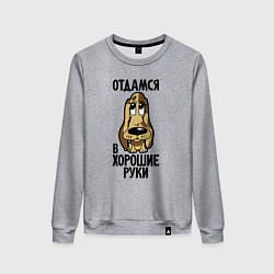 Женский свитшот Отдамся в хорошие руки - щенок