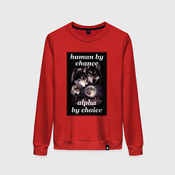 Свитшот хлопковый женский Human by chance, alpha by choice, цвет: красный