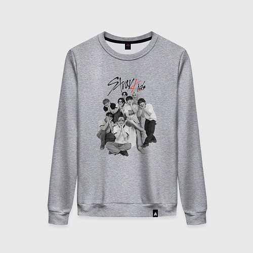 Женский свитшот Stray Kids 6th Anniversary / Меланж – фото 1