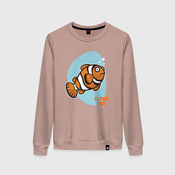 Свитшот хлопковый женский Рыбка-клоун, цвет: пыльно-розовый