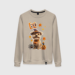 Свитшот хлопковый женский Собака в костюме хеллоуин, цвет: миндальный